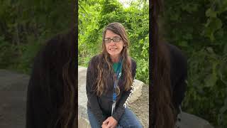 CHW video
