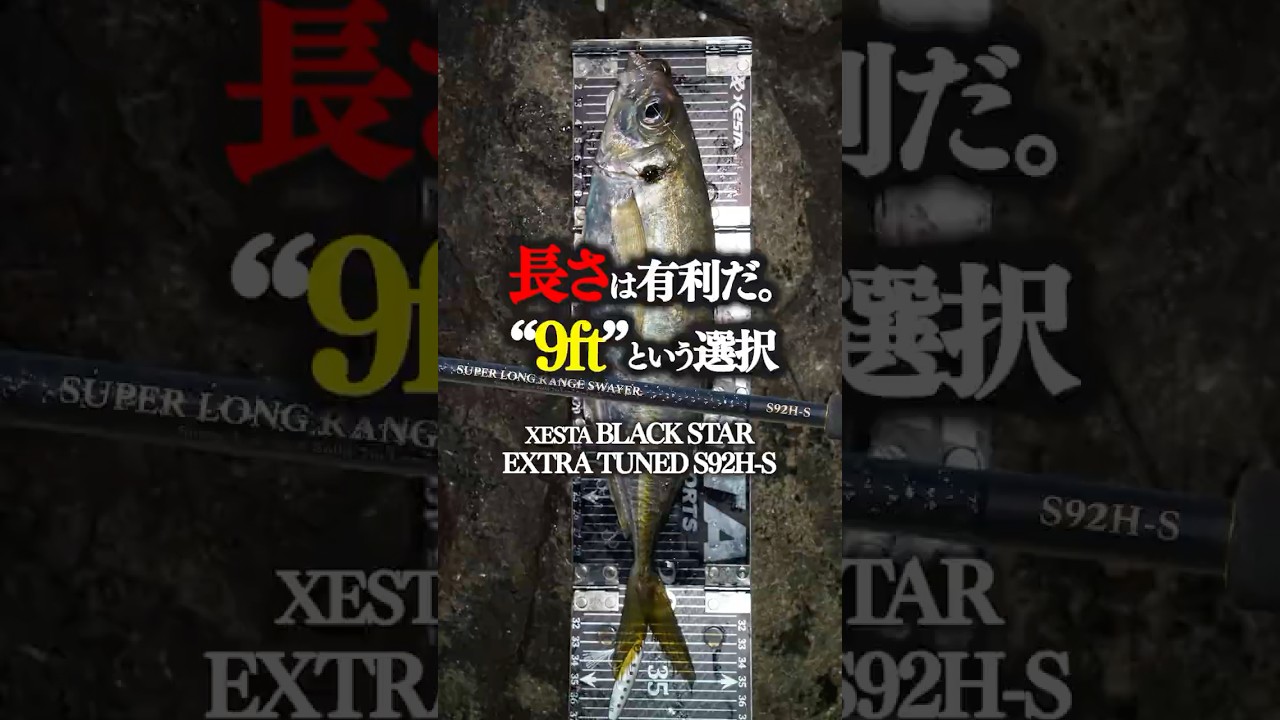 長さは有利だ。"9ft"という選択。ゼスタ ブラックスターエクストラチューンド S92H-S #ゼスタ #ブラックスター #釣り