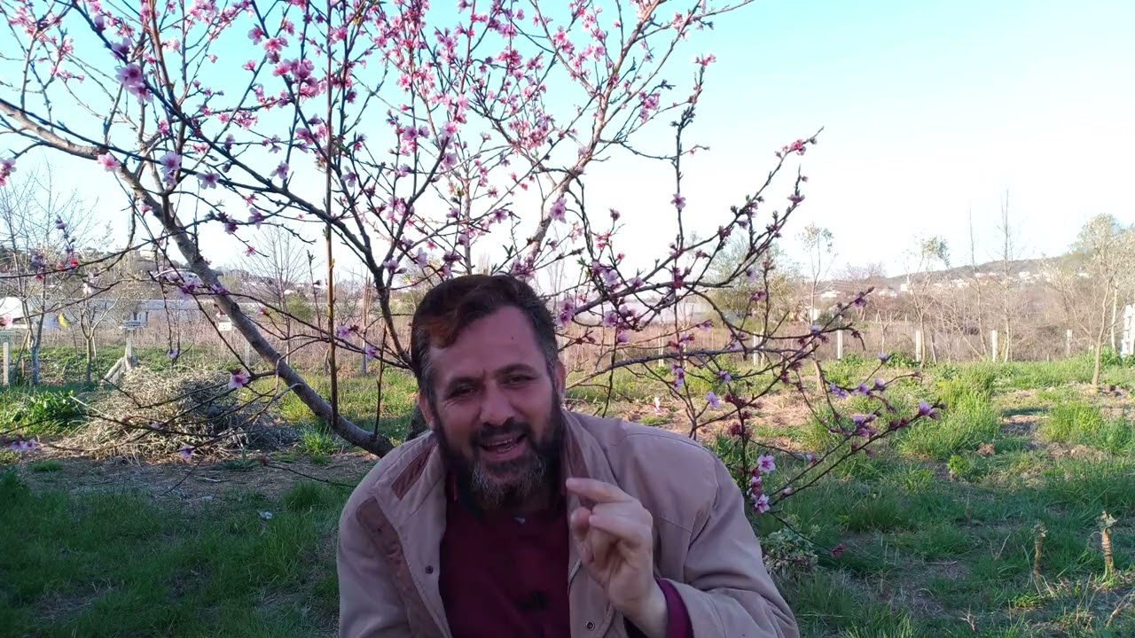 إجازة بالصلاة التازية التي يسميها العوام النارية