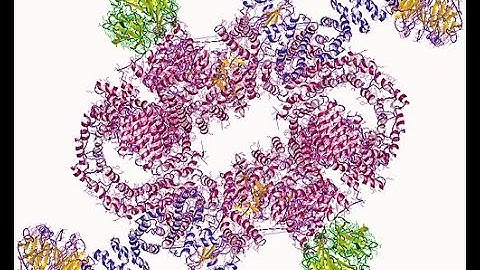 FASTA file generation by NCBI database