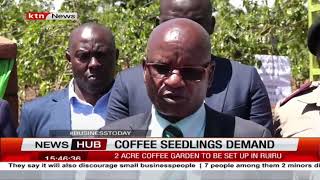 Coffee seedlings demand: Coffee farmers set to access high quality seedling screenshot 5