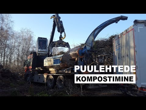 Video: Päevalilleseemnekestade kompostimine: kas saate päevalilleseemneid kompostida