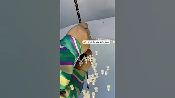 ٨ أغسطس ٢٠٢٥ 