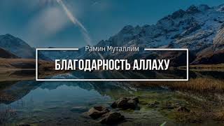 Благодарность Аллаху