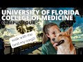 University of florida college of medicine campus tour  walk with me  my corgi in 4k