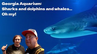 Our visit to the Georgia Aquarium, August 2023