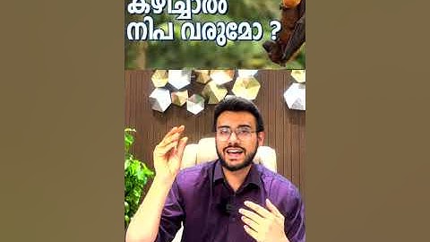 പഴം മുതൽ കള്ളു വരെ കഴിച്ചാൽ നിപ്പ വരുമൊ! Is Nipah spreading through fruits?