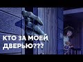 В моей квартире ПРИЗРАКИ • Дневник Карины СТРАШИЛКИ