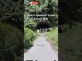 Japan’s Haunted Tunnel Found On Google Earth 😱 #shorts #googleearth