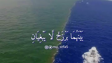 مرج البحرين يلتقيان /القرآن الكريم /حالات واتس اب 💜