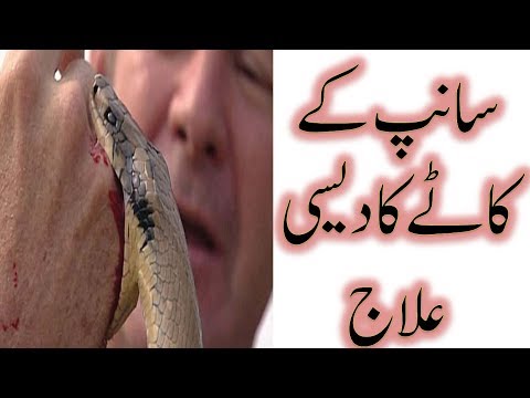 سانپ کے کاٹے کا دیسی علاج||بہترین نسخے جو صدیوں سے کارآمد ہیں