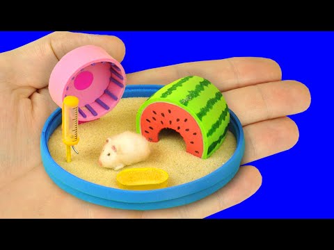 Vidéo: Maison De Hamster Bricolage