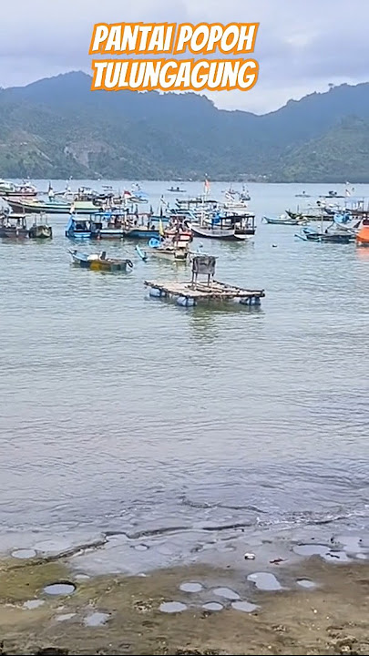 PANTAI POPOH TULUNGAGUNG 2024‼️#feedshorts #shortsfeed #pantaipopoh #shorts #trendingshorts
