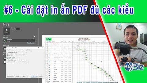Bài 6 - Cài đặt in ấn PDF đầy đủ các kiểu từ A tới Z trong MS Project | A Bờ Cờ
