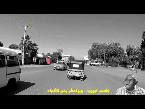 قاسم ابو زيد هوامش زمن الانبياء