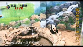 20160315 Live 仔爸團團賣萌/精明的仔媽對今天竹竿的迷思/仔孩子今天休息