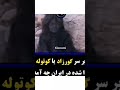 پیداشدن ادم کوتوله ها دانستنی طبیعت جالب عجیب 