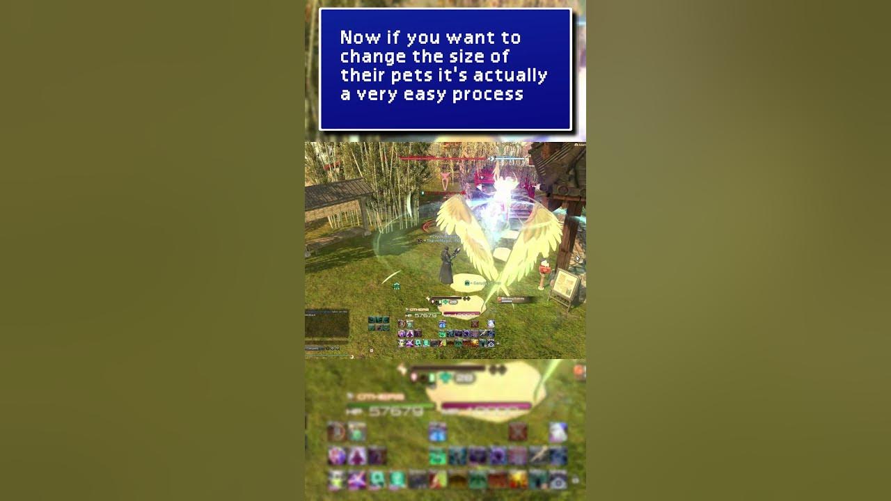 FFXIV Quick Tip Pet Size YouTube
