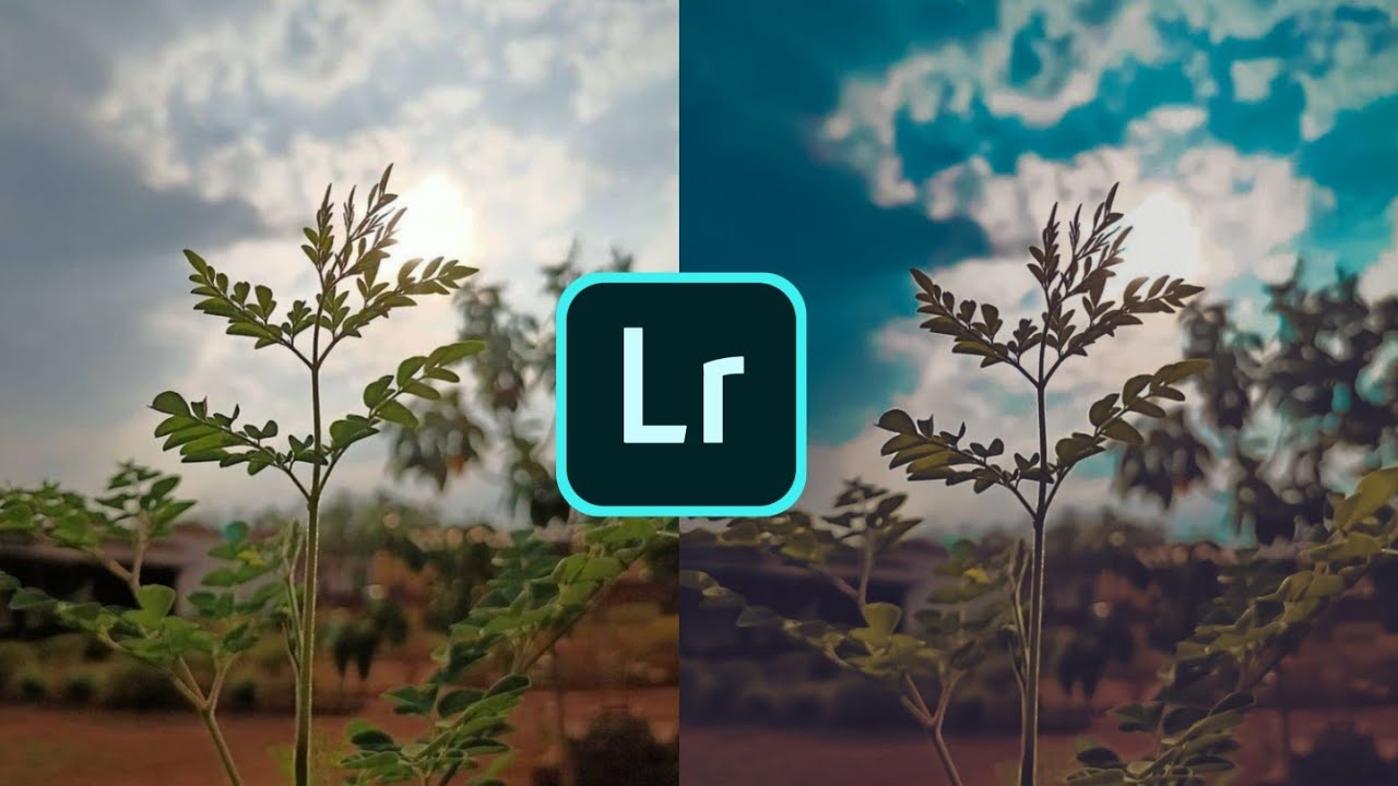 Adobe lightroom color adjusting tutorial | Easy method | Editing | Pic mania |