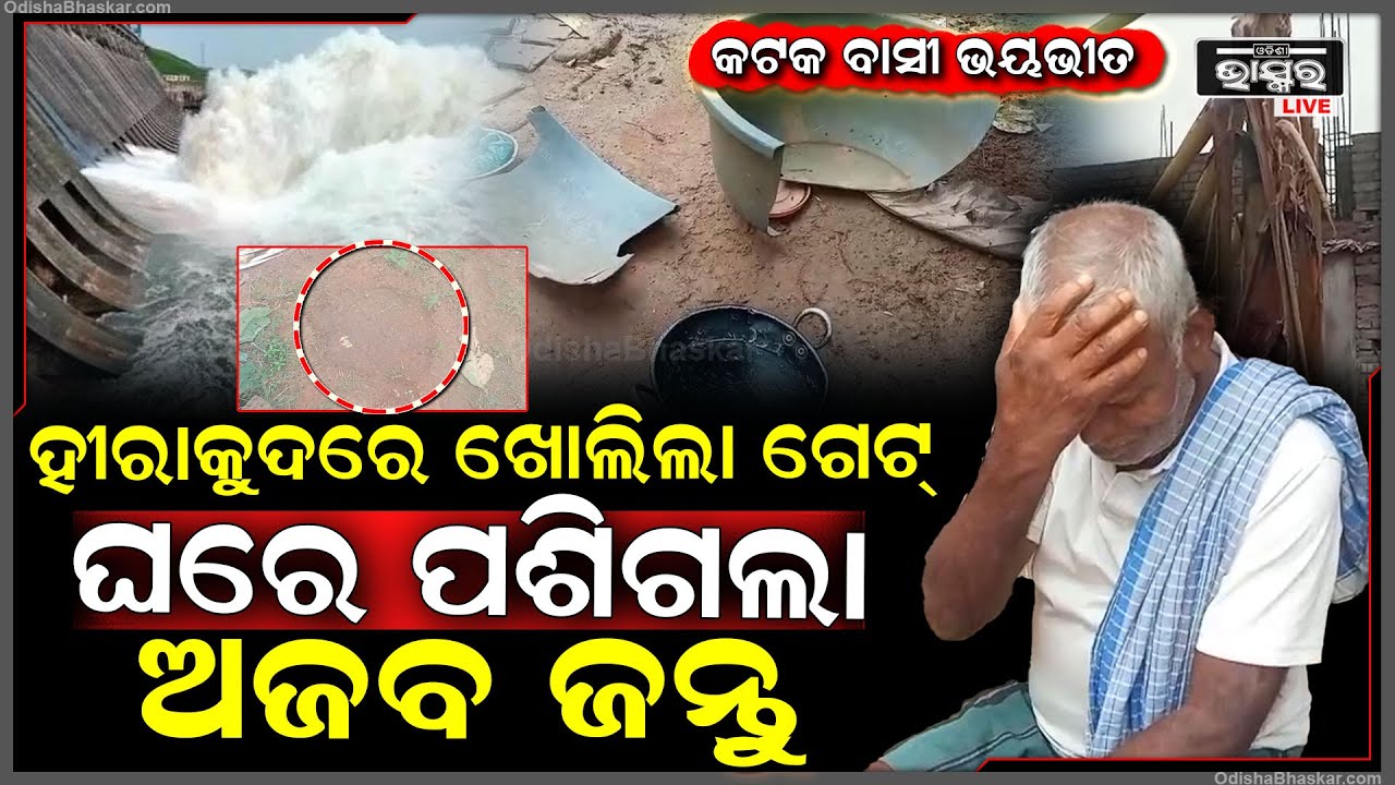 ହୀରାକୁଦ ଗେଟ ଖୋଲିଲା ଘର ଭିତରେ ପଶିଲା ବିରାଟ ଜନ୍ତୁ, ରାତି ଅଧରେ ଘର ଭିତରେ ପଶି ଭାତ ହାଣ୍ଡିକୁ ଖାଇଦେଲା