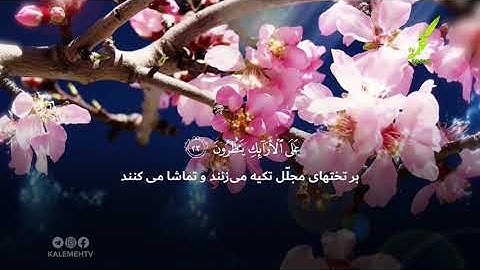 سوره مطففین آیات 22-26
