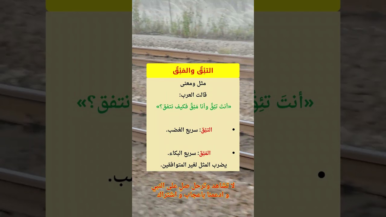 «أنتَ تَئِقٌ وأنا مَئِقٌ».. مثل عربي عجيب! #اللغة_العربية #معلومات #معلومات_مفيدة #ترند