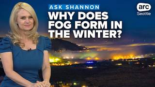 Why fog forms in the winter