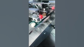 Automatic rice cracker cake biscuit horizontal feeding filling packing machine running video