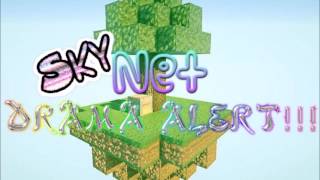 Skyblock.net, My application for becoming a mod. screenshot 1