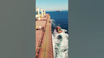 Pilot on board или Прием Лоцмана / #shorts #POB #Sealife #ship
