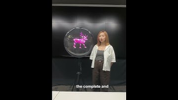 How the 3D Holographic Display works？
