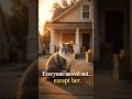 Everyone left… but she stayed. 🐱#CatStory #EmotionalShorts #AnimalLoyalty