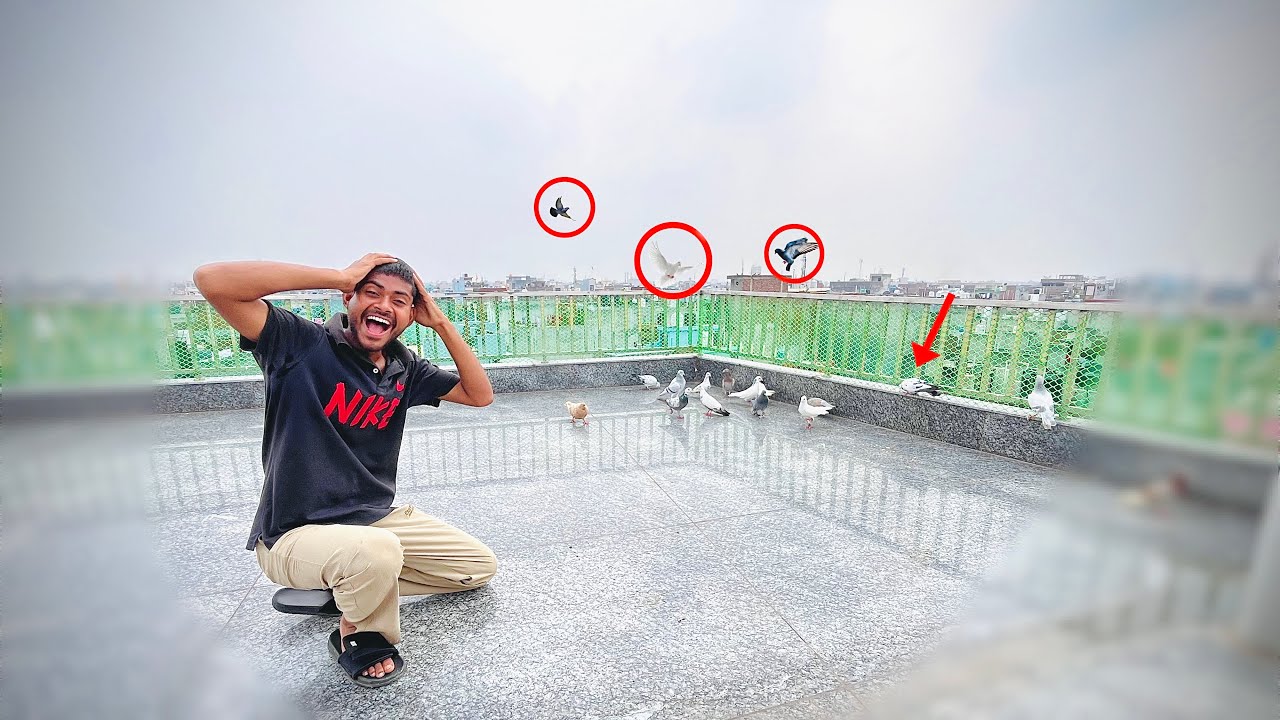 Aaj sabke Pankh khol Diye ||😳