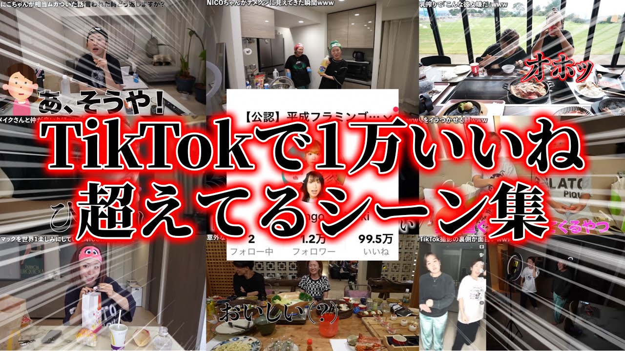 TikTokで1万いいねを超えてるシーン集！【平成フラミンゴ　切り抜きch】