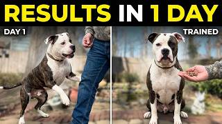 Three-Week Training Starts Now | Bailey's First Day Unfiltered