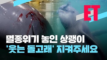 [ET] 울지마 상괭이!…미소천사 돌고래를 지켜주세요 / KBS 2021.05.13.