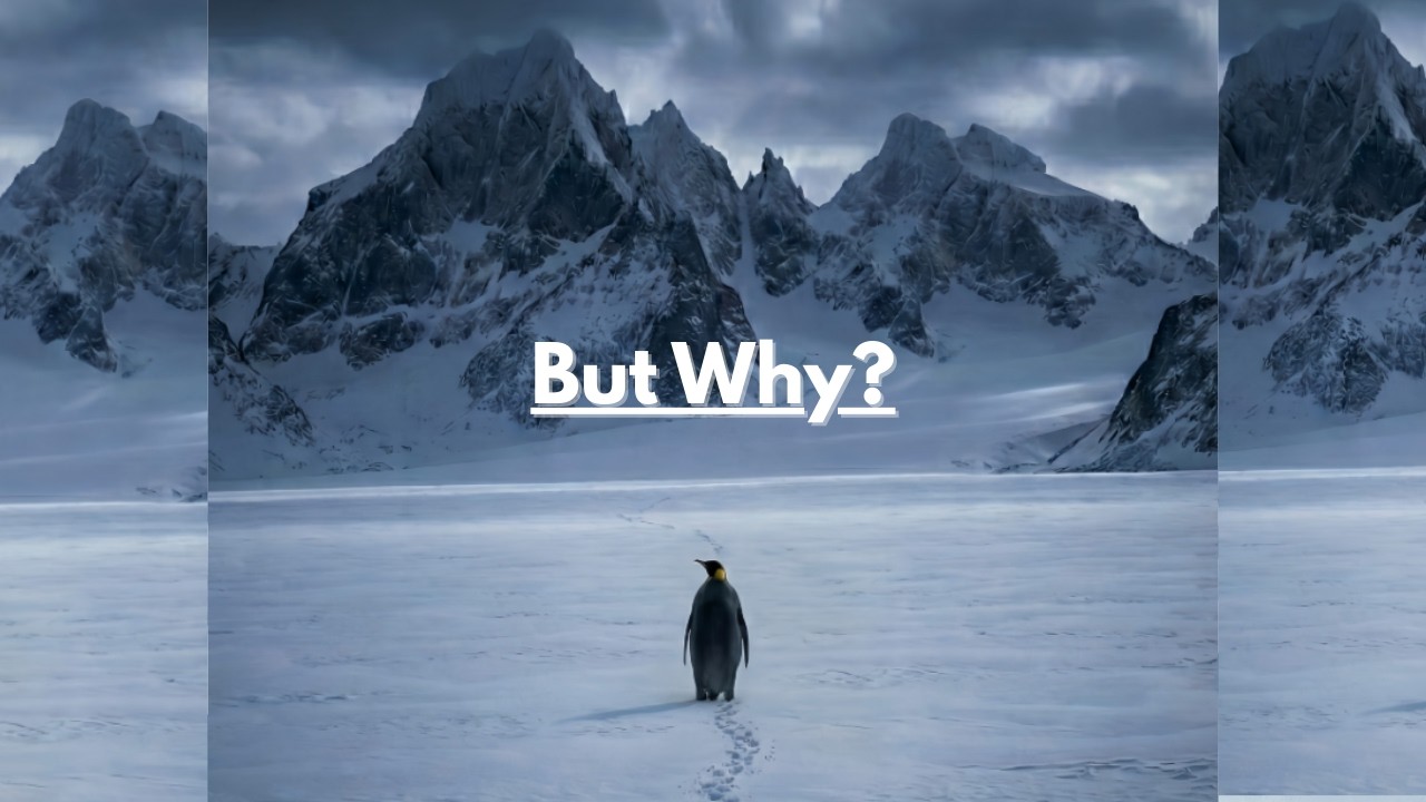 Nihilist Penguin Motivation: Walk Alone or Die Slowly