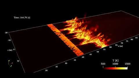 Simulations of Wildland Fire Spread in Idealized Uniform and MixedSize Pine Wood Fuel Bed