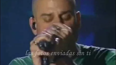 Cold - No One MTV Hard Rock Live (subtitulada)