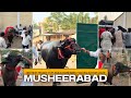 Edla Hari Babu Yadav Bulls Getting Ready For Sadar 2025 💥|| Unexpected Incident Shocks Crowd 😱||
