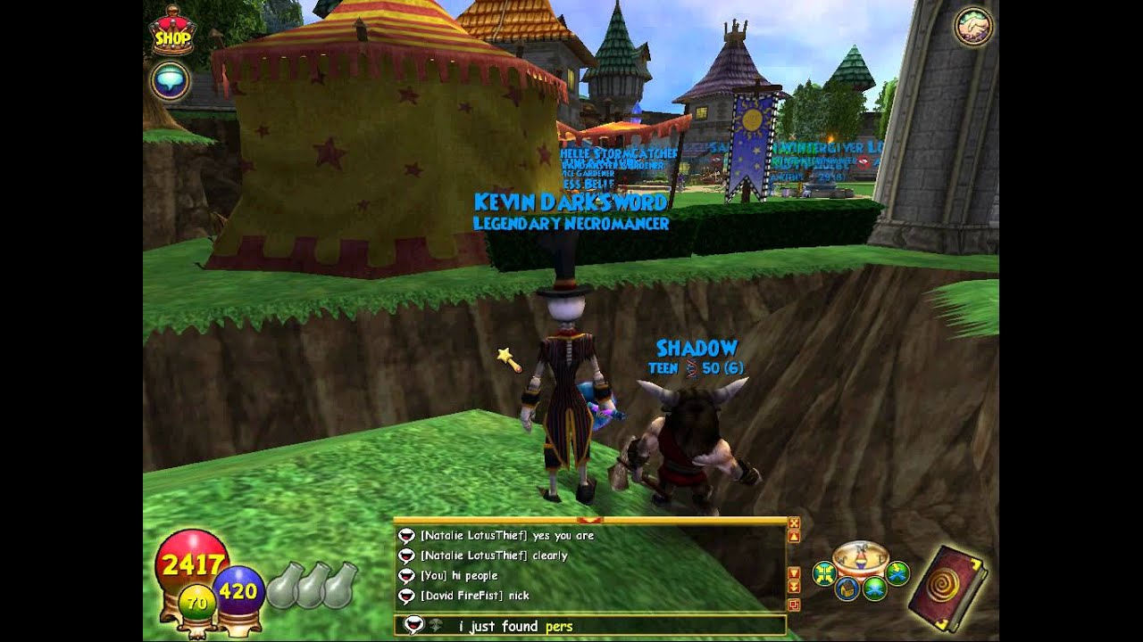 Wizard101 Pet Pavillion glitch YouTube