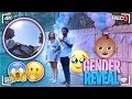 Tytheguy Gender Reveal • It Gets Emotional 🥹