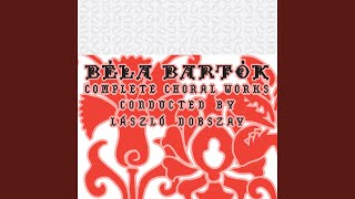 Download Lagu 2 Romanian Folksongs for Female Chorus, Sz 58, BB 57: No. 2, Mai Badita Prostule MP3