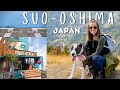 HIDDEN JAPAN: a day-trip to Suo-Oshima | Hiking, local cafes, and dog-friendly exploring