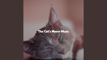 Alluring Ambience for Open Work Floors