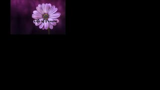 Free Life coaching step 4 video