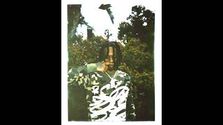 (FREE) skaiwater x Nine Vicious x Sample Type Beat - "Mental"
