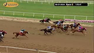 RACE 6 PROGRAM 08312024