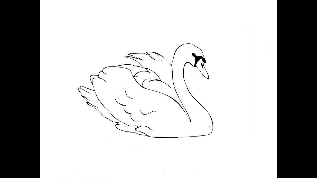 Как научится рисовать лебедя! - Ёжка