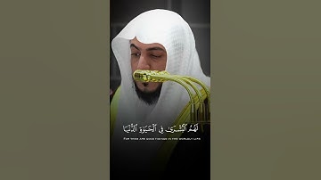 ألا إن أولياء الله لاخوف عليهم ولا هم يحزنون | تلاوة هادئة من سورة يونس | الشيخ الوليد الشمسان